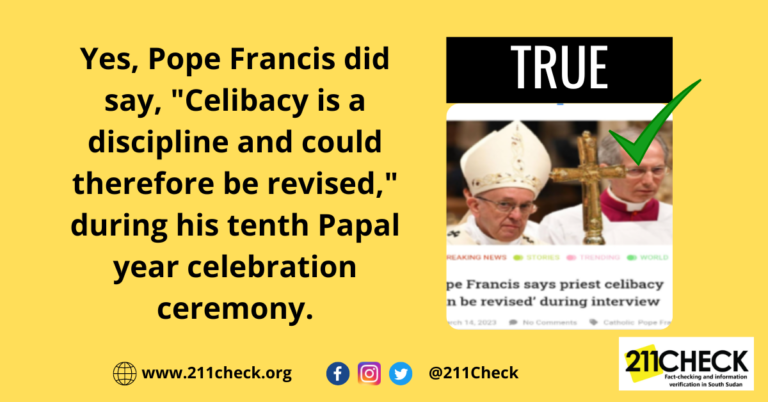 <strong>Fact-check: Did Pope Francis say celibacy can be revised? Yes, he did</strong>