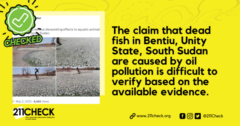 <strong>Fact-check: Uncertainty surrounds the cause of dead fish in Bentiu, South Sudan</strong>