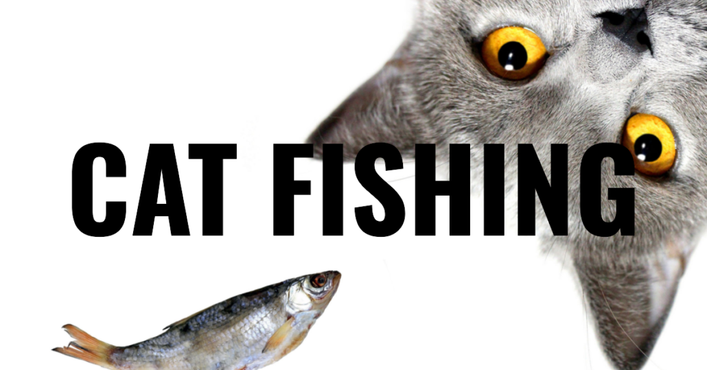 Blog: What is Catfishing, and how can we avoid it? - 211CHECK