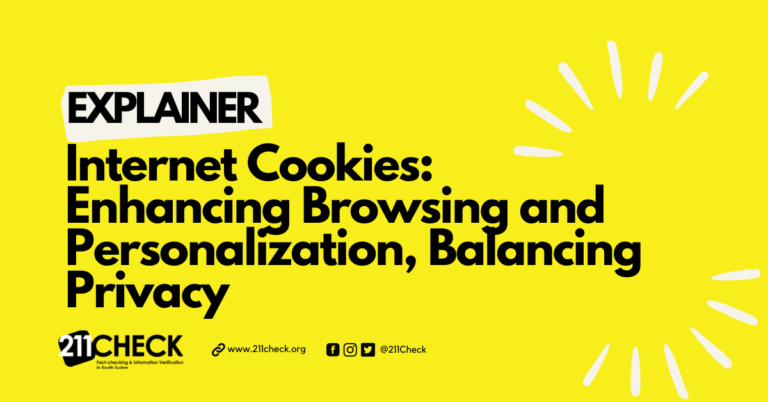 <strong>Explainer: What are internet cookies, and what are they used for? </strong>